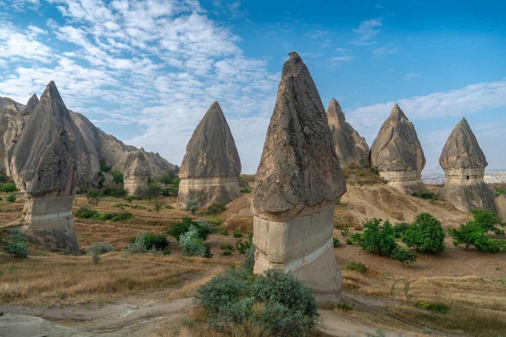 Unique mushroom-shaped rock formations in Love Valley, Cappadocia, surrounded by dry grass and scattered greenery under a blue sky.